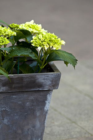 ZN DESIGN, jardinière en zinc